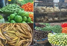 সবজিতে আগুন, পেঁপেতে স্বস্তি