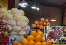 ফলের চড়া দামে ক্রেতার নাভিশ্বাস