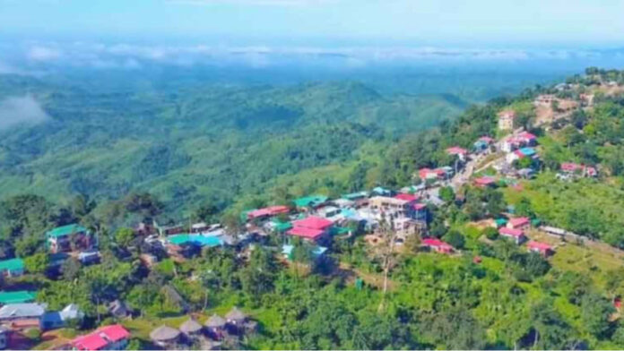 saajek